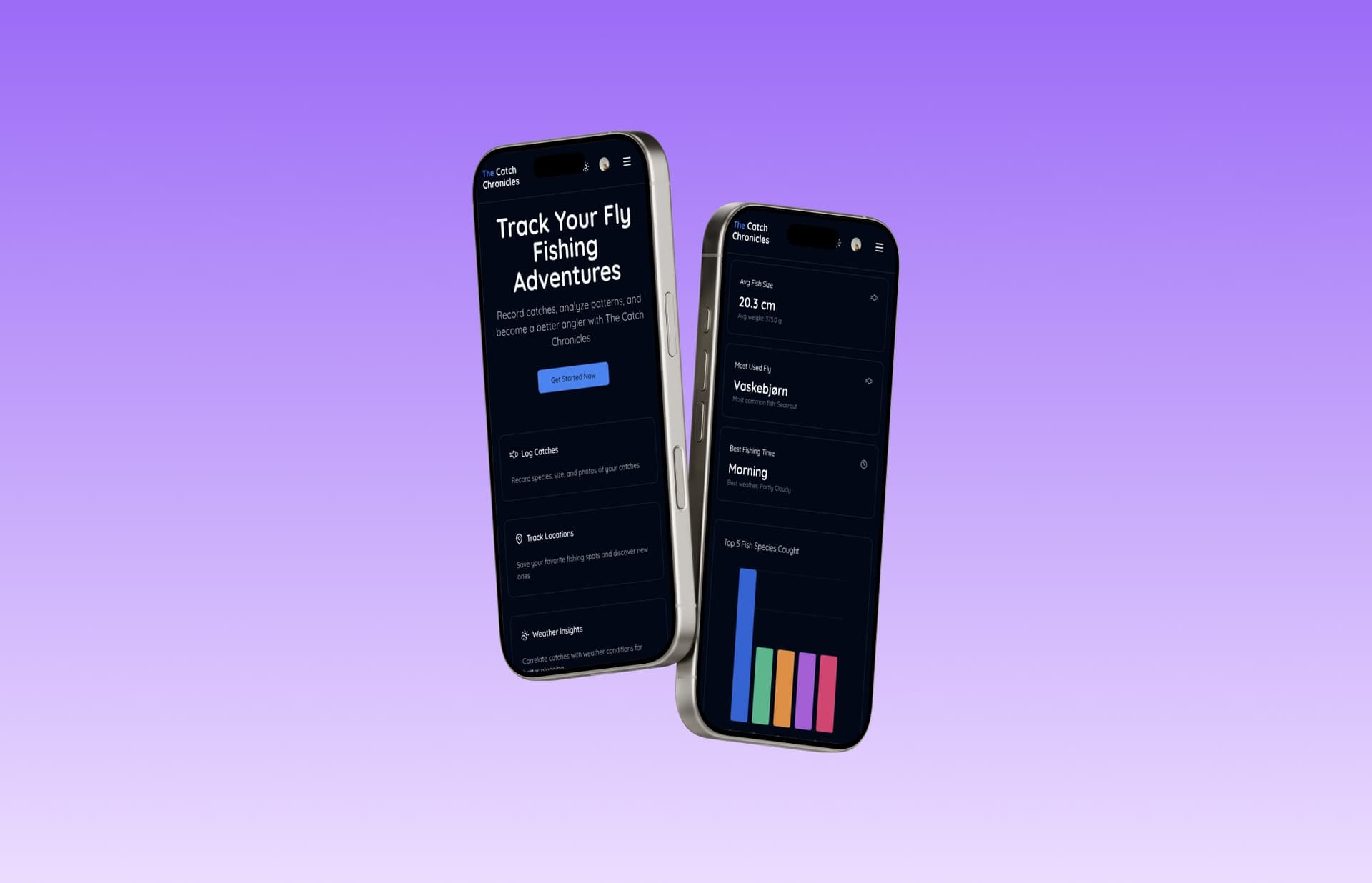 The Catch Chronicles mobile view